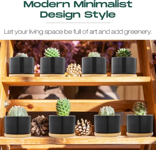 Miniatura 5 de Cindeer 12 juegos de macetas de cerámica para suculentas, macetas de cactus con bandeja de bambú, maceta cilíndrica pequeña con platillos de bambú