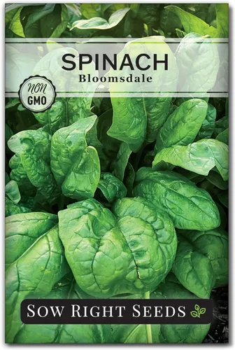 Miniatura 7 de Sow Right Seeds - Semillas de espinaca Bloomsdale para plantar - Paquete de reliquia sin OMG con instrucciones para plantar y cultivar un huerto