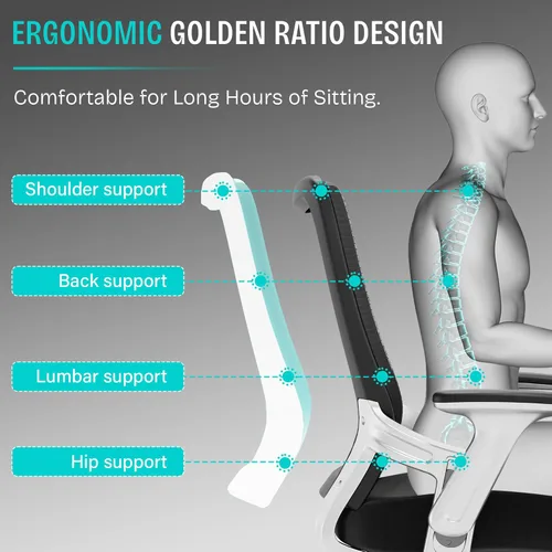 Miniatura 4 de SUNNOW Silla de oficina, silla ergonómica de escritorio para computadora, silla ejecutiva resistente, soporte lumbar ajustable, brazos abatibles