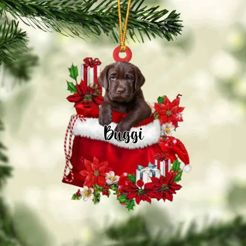 Miniatura 47 de Perro Akita Inu personalizado en bolsa de regalo, adorno de Navidad, nombre personalizado, regalo para amantes de los perros, familia, Navidad