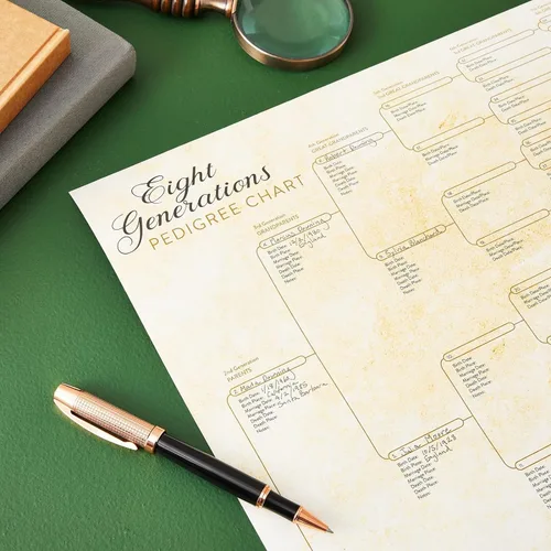 Miniatura 2 de Okuna Outpost Gráficos de árbol genealógico para rellenar – 8 gráficos de genealogía de generación con 255 espacios de nombres – Póster de árbol