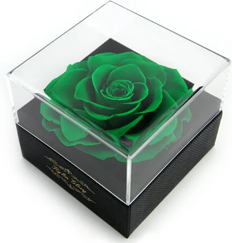 Rosa preservada de flores recién cortadas para mujeres, mamá, esposa, novia, regalo de flores, decoración de rosa real para el día de la madre, día
