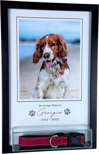 Miniatura 2 de Perfect Cases Marco conmemorativo para mascotas con pantalla de collar e impresión fotográfica de 8 x 10 pulgadas y grabado personalizado..