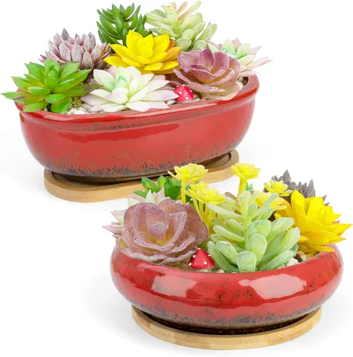 Miniatura 9 de Macetas para suculentas, 1 maceta rectangular + 1 maceta de cerámica para bonsái con bandeja de drenaje, paquete de 2 macetas grandes y poco