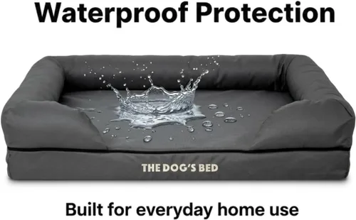 Miniatura 3 de The Dog's Bed - Cama ortopédica de espuma viscoelástica para perros medianos, colchón de soporte de alta densidad, entrada frontal baja, funda negro