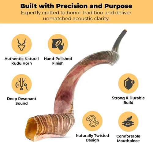 Miniatura 3 de YOMTOV-SHALOM Kudu Shofar Shofar en venta Kosher de Israel 35-39 pulgadas