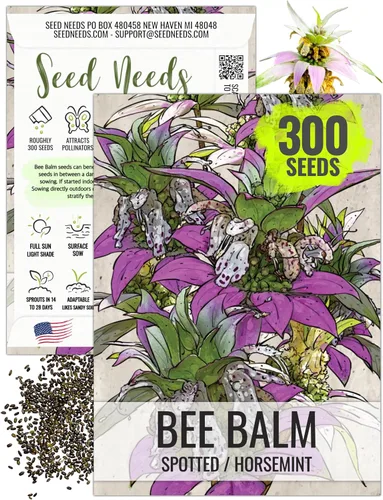 Miniatura 10 de Seed Needs Semillas de bálsamo de abeja para plantar bergamota silvestre, reliquia y flores perennes de polinización abierta para cultivar un jardín