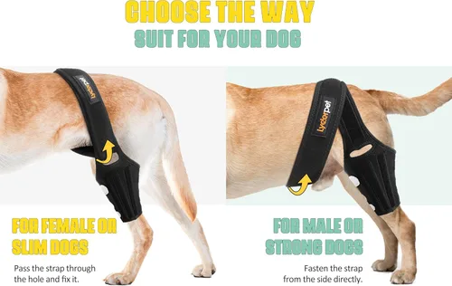Miniatura 5 de Rodillera para perros para pierna trasera, soporte fuerte que reduce el dolor y la inflamación, mejor recuperación para lesiones de ligamento