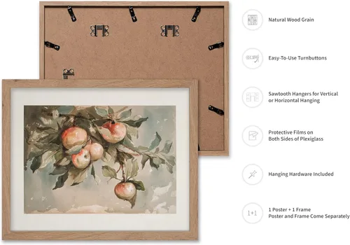 Miniatura 2 de Poster Master Póster vintage de estudio de manzanas, impresión retro de frutas muertas - Arte de acuarela - Arte de frutas - Regalo para hombres