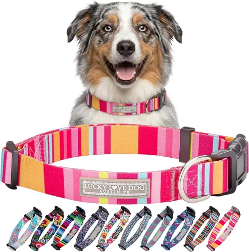 Miniatura 44 de Lucky Love Dog - Collar para perras pequeñas, diseño Blackbird de estampado alegre con flores de primavera y verano, talla XS