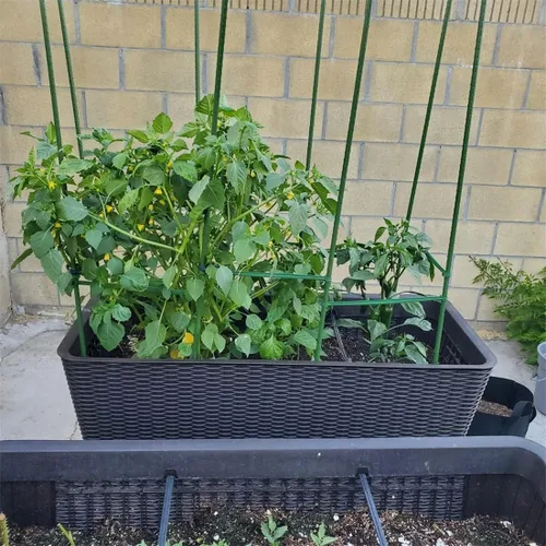 Miniatura 4 de Estacas de jardín, varillas resistentes de soporte para plantas, 20 estacas de núcleo de acero recubierto de plástico con 5 conectores para plantas