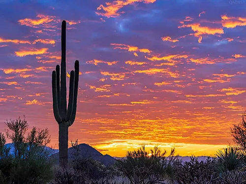 QAZWSX Pintura de diamantes de cactus solitario con fondo brillante del amanecer del desierto en Arizona para adultos, kit de pintura de diamantes