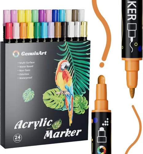Bolígrafos de Pintura Acrílica de 24 Colores, Marcadores de Pintura Acrílica de Doble Punta, con Punta de Punto y Punta Fina, Marcadores Acrílicos