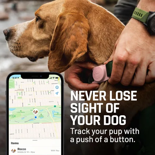 Miniatura 5 de Mammoth - Soporte para collar de perro compatible con Apple AirTag, el soporte fuerte es la manera perfecta de rastrear GPS a tu perro, no dañará tu
