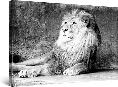 Miniatura 24 de Startonight Lienzo decorativo para pared, diseño de león en colores, listo para colgar, para sala de estar, imagen grande, decoración de pared
