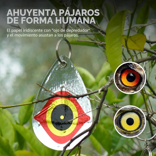 Miniatura 3 de Bird B Gone - Desviadores reflectantes para pájaros - Juego de 5 - Papel de aluminio disuasorio imita los ojos de depredador - Asusta a los pájaros