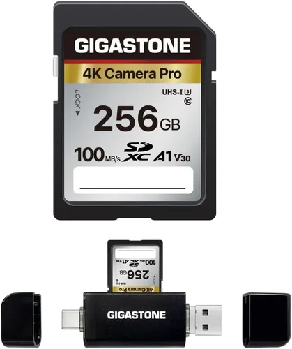 Miniatura 13 de Recuperación de datos de 5 años: tarjeta SD GIGASTONE de 256 GB, cámara 4K Pro, tarjeta de memoria A1 V30 SDXC 4K UHD Video compatible con cámara