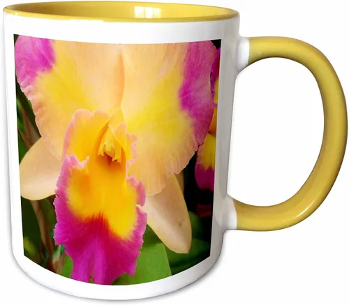 Miniatura 9 de 3dRose Florene Flores – Gorgeous Orquídea – Tazas, Negro/Blanco