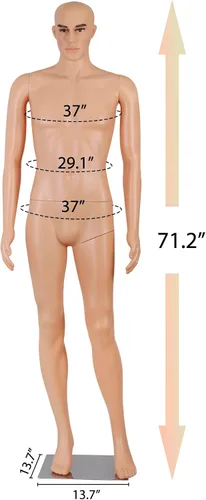 Miniatura 6 de Maniquí masculino de cuerpo completo con cabeza ajustable, extremidades flexibles, diseño desmontable de 72 pulgadas, forma de vestido con base