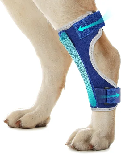 Miniatura 9 de Soportes para patas de perro para patas traseras y delanteras, soporte articular de perro y tobillo para patas traseras débiles con 2 tiras