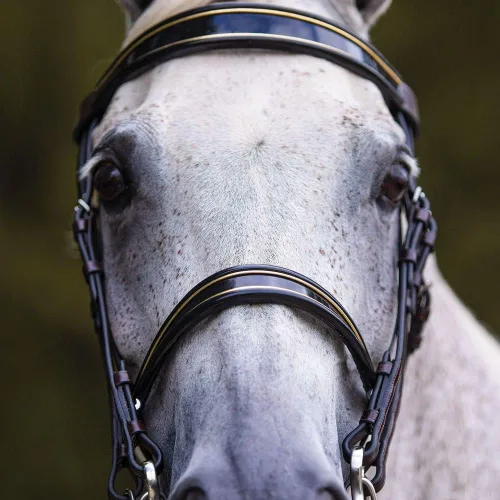 Miniatura 5 de Joseph Sterling Kiesner Comfort Show Bridle para caballos Diseñada por Professional Trainer Corona Comfort Plus para facilidad Bandas