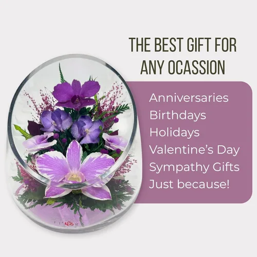 Miniatura 5 de Fiora Flower - Elegante arreglo de orquídeas en jarrón de vidrio Orquídeas reales preservadas que duran 5 años Ideal para decoración del hogar