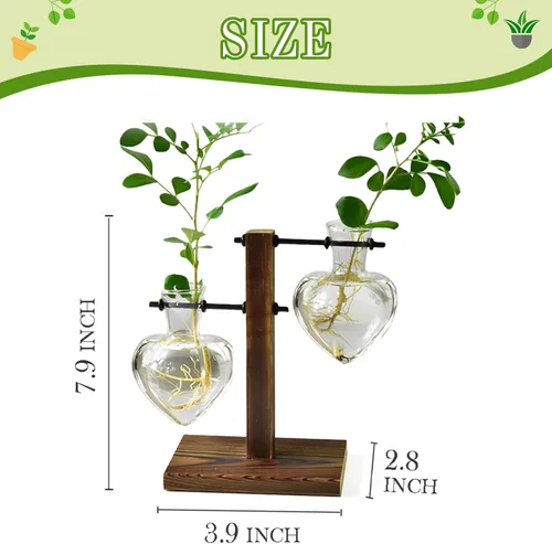 Miniatura 2 de HUABEI - Terrario con soporte de madera para plantas, globo de cristal para maceta, jarrón giratorio de metal, soporte de mesa retro