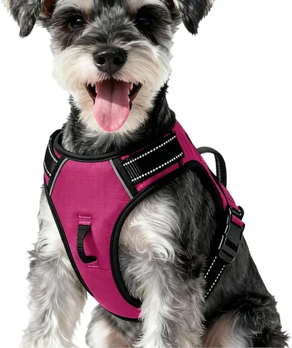 Miniatura 113 de Arnés para perro sin tirones, chaleco reflectante ajustable y acolchado para mascotas con asa de fácil control, fácil de llevar con nudo elegante