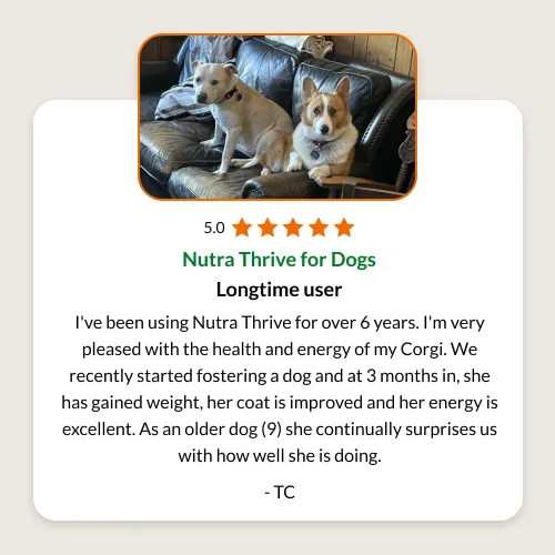Miniatura 6 de Ultimate Pet Nutrition Nutra Thrive Canine, suplemento nutricional en polvo 40 en 1 para perros con digestión y apoyo inmunológico, vitaminas