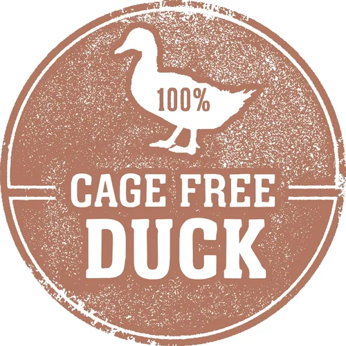 Miniatura 4 de Fresh Is Best Duck Alimento liofilizado para gatos – Alimento crudo para gatos para gatitos y felinos adultos – Pato liofilizado con alto contenido