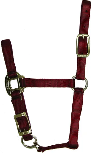 Miniatura 10 de Hamilton Quality Horse Halter, nailon de triple capa de 3/4", correa ajustable para la barbilla, poni o mini burro, 100-200 libras, negro