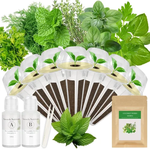 Kit de cápsulas de semillas de hierbas gourmet para AeroGarden, idoo, Ahopegarden, MUFGA Hydroponics Garden con albahaca, perejil, tomillo, menta,