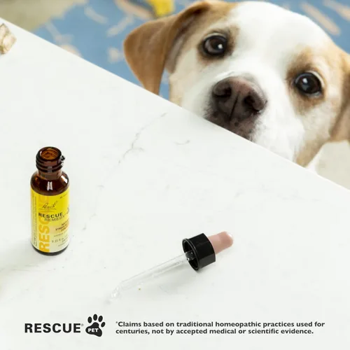 Miniatura 5 de Bach Rescue Remedy PET Dropper 0.7 fl oz, alivio natural del estrés, calmante para perros, gatos y otras mascotas, esencia floral homeopática