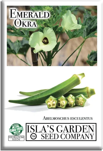 Semillas de okra esmeralda para plantar (Abelmoschus esculentus) – Más de 150 semillas sin OMG y reliquias de Isla's Garden Seeds, cápsulas verdes