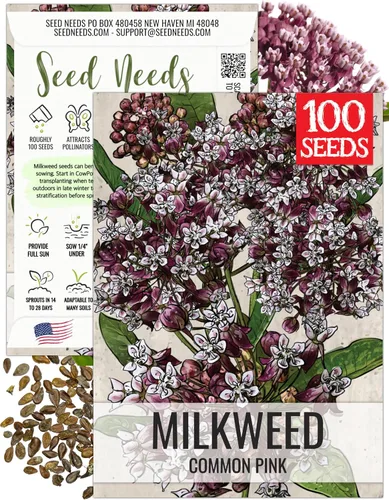 Miniatura 28 de Seed Needs Semillas de algodoncillo naranja para plantar malezas de mariposa, semillas de flores perennes sin tratar para cultivar un jardín