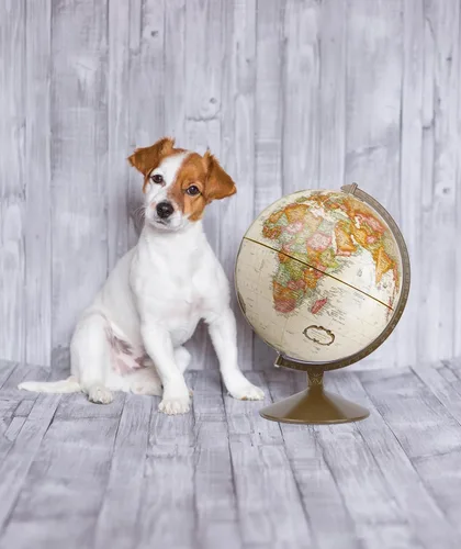 Miniatura 7 de Replogle Globos Franklin World Globe, océano antiguo, 12 pulgadas de diámetro, relieve elevado (relieve tridimensional para cordilleras). Este globo