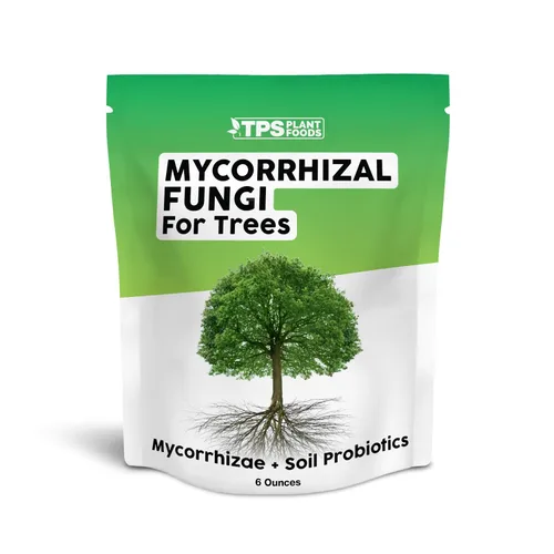 Micorrizas para árboles: soporte natural del suelo para árboles y arbustos, 6 onzas