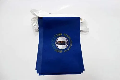 Miniatura 352 de AZ FLAG Señal marítima internacional 42.7 ft BUNTING Flag 40 banderas 9'' x 6'' - Banderas de cuerda del alfabeto náutico 5.9 x 8.3 in
