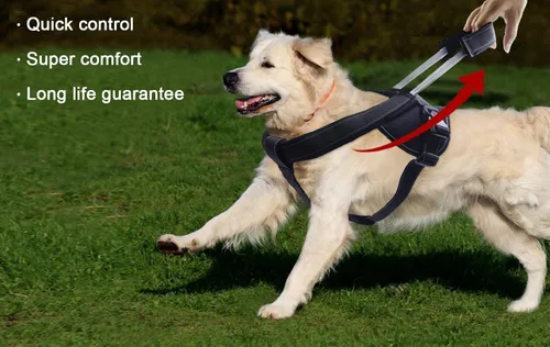 Miniatura 6 de Yogadog– Arnés resistente para perro, evita tirones, acolchado con correa integrada extendida epecial, costuras reflectantes, especial para perros