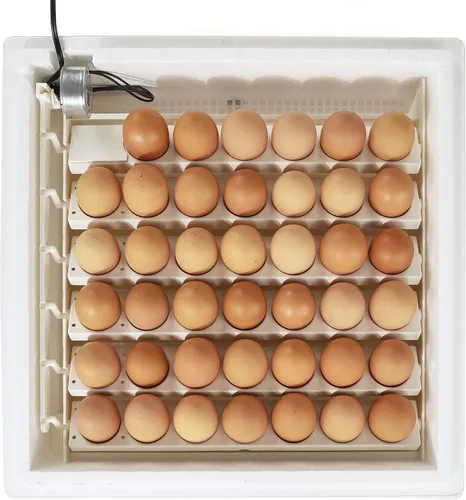 Miniatura 7 de Farm Innovators 3200 - Girador automático de huevos de 41 puntos, elimina el manejo manual y mejora la tasa de eclosión