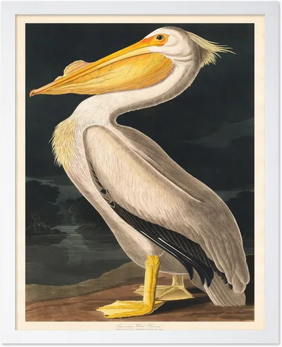 Miniatura 25 de Poster Master Vintage James Audubon Póster - Impresión Retro de Cuervo - Arte de Aves de América - Arte de Aves - Regalo para Hombres, Mujeres