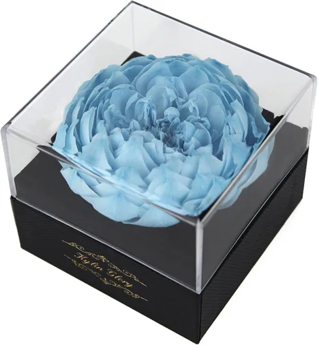 Miniatura 8 de Rosa preservada de flores recién cortadas para mujeres, mamá, esposa, novia, regalo de flores, decoración de rosa real para el día de la madre, día