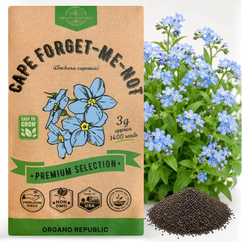 Miniatura 11 de Organo Republic Paquete de semillas de anís 5G – Más de 1800 semillas de anís reliquia sin OMG para plantar hierbas en paquete de semillas