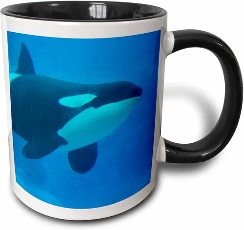 Miniatura 10 de 3dRose Orca Killer Whale - Taza de cerámica azul subacuática, 11 onzas