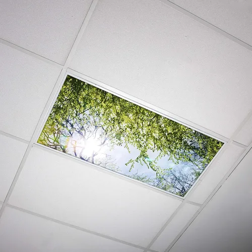Miniatura 8 de Cubierta de luz fluorescente para luces de techo de aula, inserto de película retroiluminada de alta calidad, 2 x 4 (22.38 x 46.5 pulgadas), Árbol