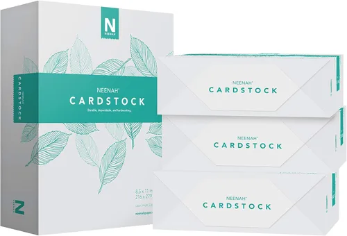 Neenah Vellum Bristol Cartulina, ligera, 4 paquetes de 325 hojas/1300 hojas, 67 lb/147 gsm, 94 brillo, 8.5 x 11 pulgadas, más hojas (91633-02)
