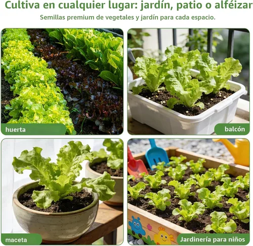 Miniatura 6 de 【Bóveda de semillas】 Kit de siembra de semillas de verduras reliquia - Más de 15,000 semillas sin OMG para hidropónico, jardinería