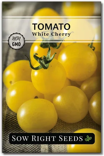 Sow Right Seeds - Semilla de tomate cereza blanca para plantar - Paquete de reliquia sin OMG con instrucciones para plantar un huerto casero -