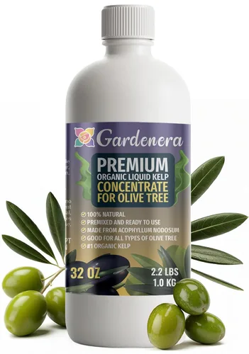 Miniatura 62 de GARDENERA Superalimento orgánico prémium de algas marinas y algas marinas para plantas AGLAONEMA, 8 onzas, concentrado de fertilizante líquido