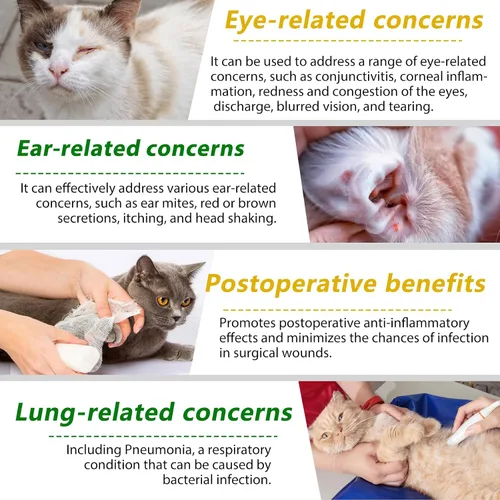 Miniatura 5 de Antibióticos naturales para gatos, suplementos para mascotas, 2 onzas líquidas/1 paquete de multivitamínicos para gatos, antibiótico para gatos